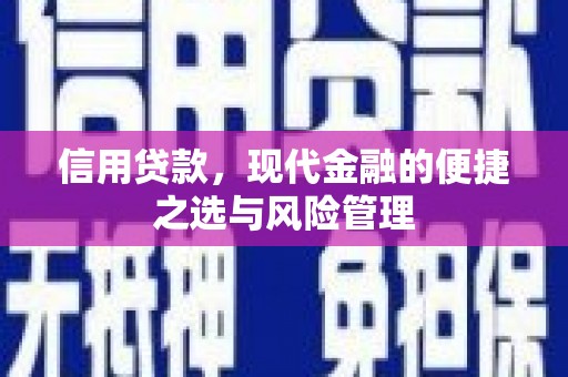 历城信用贷款，现代金融的便捷之选与风险管理