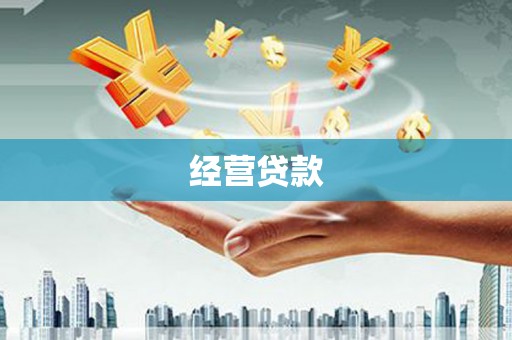 历城经营贷款