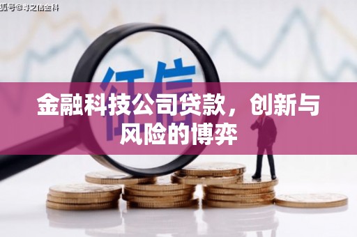 历城金融科技公司贷款，创新与风险的博弈