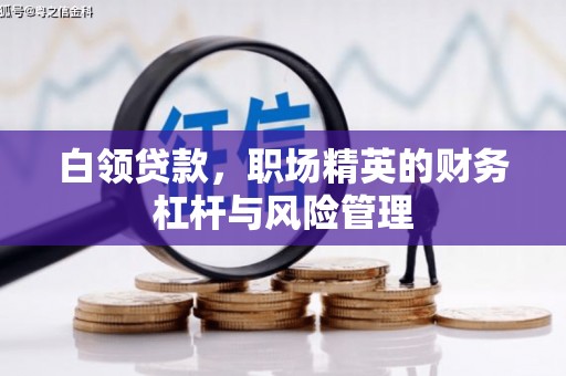 历城白领贷款，职场精英的财务杠杆与风险管理