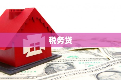 历城税务贷