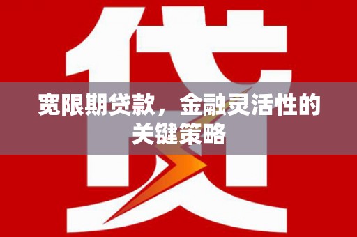 历城宽限期贷款，金融灵活性的关键策略