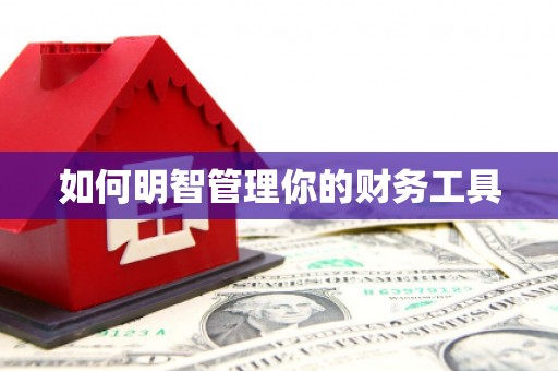 历城如何明智管理你的财务工具
