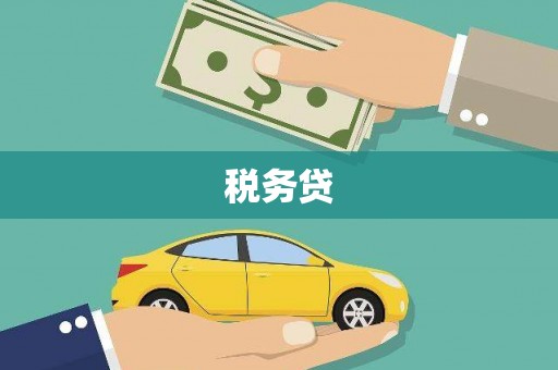 历城税务贷