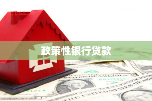 历城政策性银行贷款