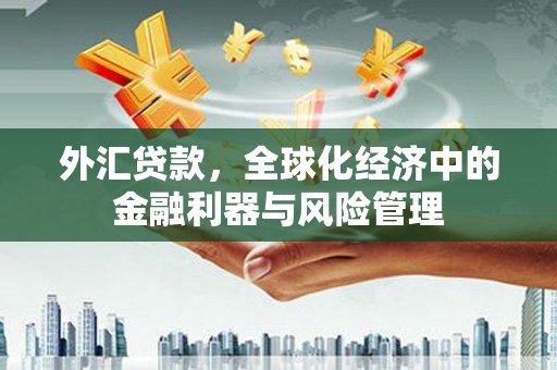 历城外汇贷款，全球化经济中的金融利器与风险管理