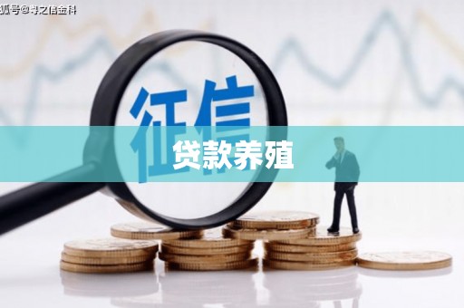 历城贷款养殖