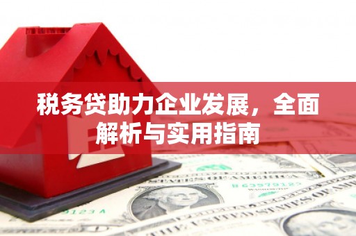 历城税务贷助力企业发展，全面解析与实用指南