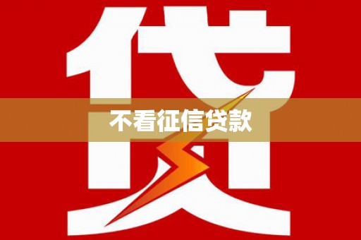 历城不看征信贷款