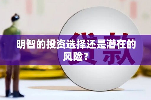 历城明智的投资选择还是潜在的风险？