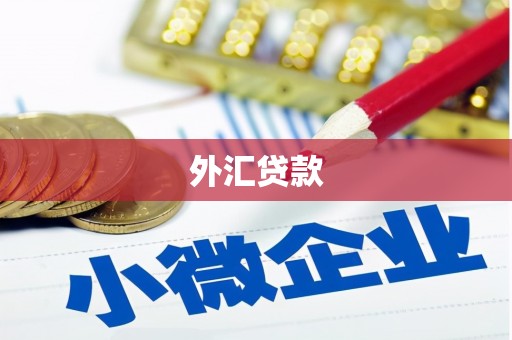 历城外汇贷款