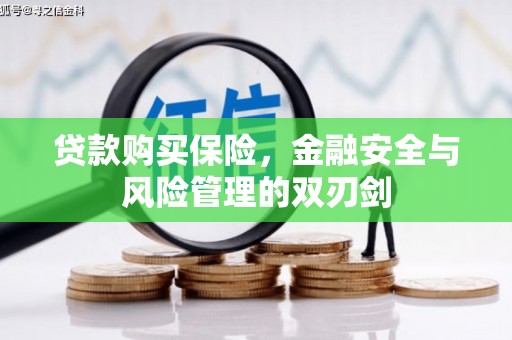 历城贷款购买保险，金融安全与风险管理的双刃剑