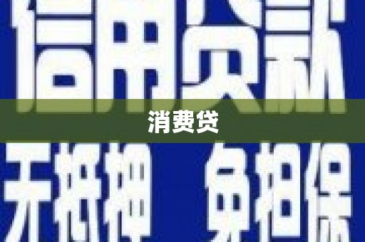 历城消费贷