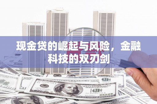 历城现金贷的崛起与风险，金融科技的双刃剑