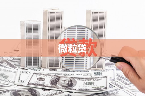历城微粒贷