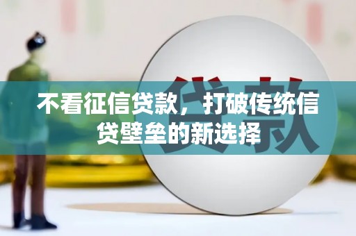 历城不看征信贷款，打破传统信贷壁垒的新选择