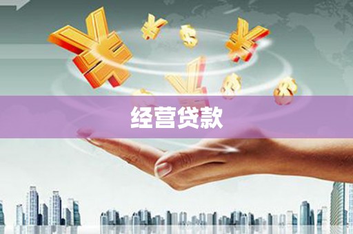历城经营贷款