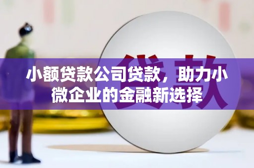 历城小额贷款公司贷款，助力小微企业的金融新选择