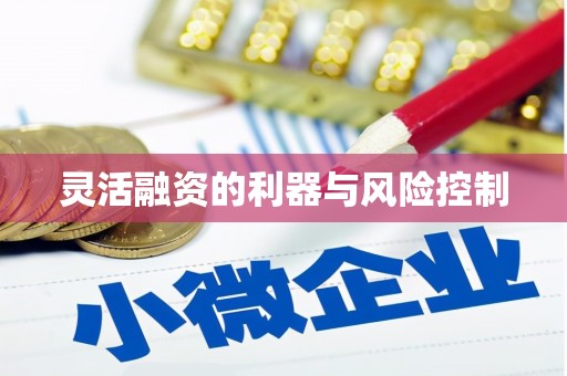 历城灵活融资的利器与风险控制