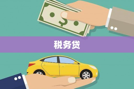 历城税务贷