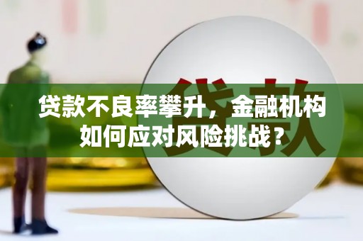 历城贷款不良率攀升，金融机构如何应对风险挑战？