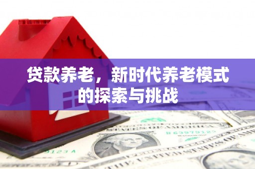 历城贷款养老，新时代养老模式的探索与挑战