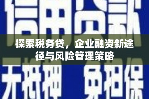 历城探索税务贷，企业融资新途径与风险管理策略