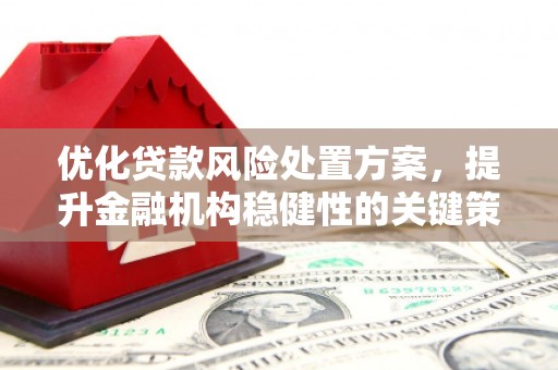 历城优化贷款风险处置方案，提升金融机构稳健性的关键策略