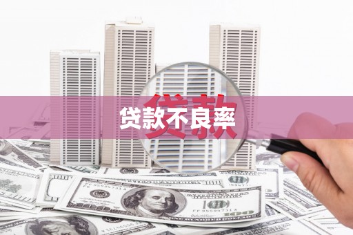 历城贷款不良率