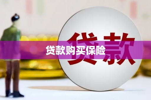 历城贷款购买保险