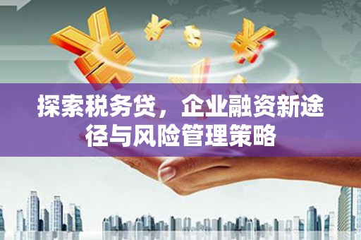 历城探索税务贷，企业融资新途径与风险管理策略