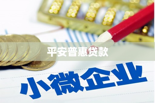 历城平安普惠贷款