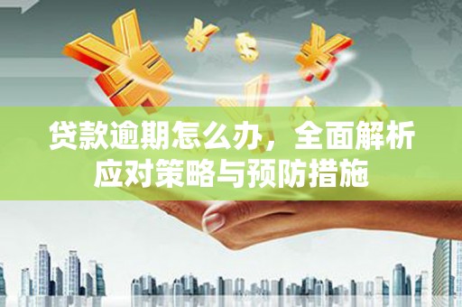 历城贷款逾期怎么办，全面解析应对策略与预防措施