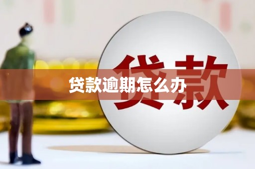 历城贷款逾期怎么办