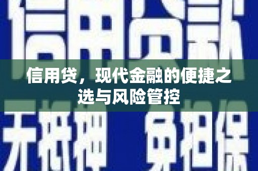 历城信用贷，现代金融的便捷之选与风险管控