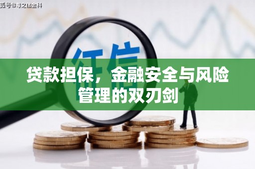 历城贷款担保，金融安全与风险管理的双刃剑