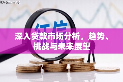 历城深入贷款市场分析，趋势、挑战与未来展望
