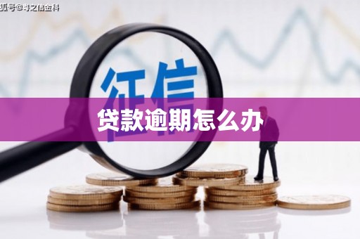 历城贷款逾期怎么办