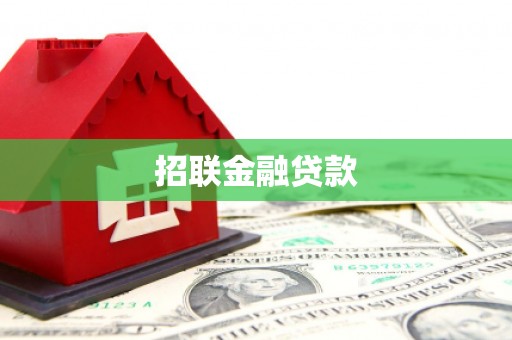 历城招联金融贷款