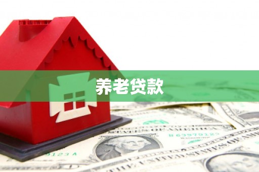 历城养老贷款