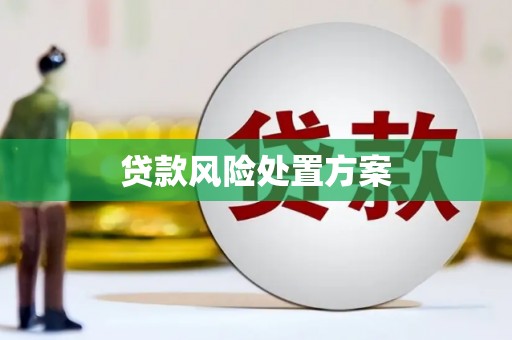 历城贷款风险处置方案