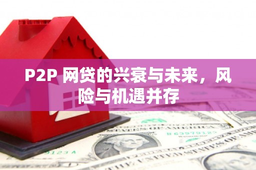 历城P2P 网贷的兴衰与未来，风险与机遇并存