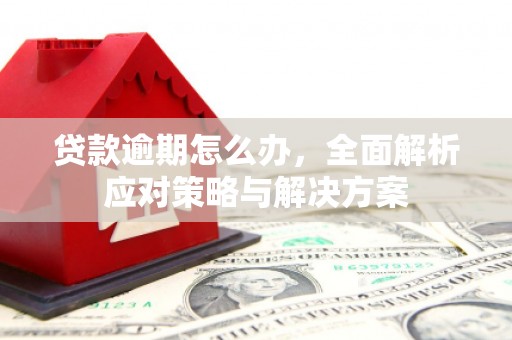 历城贷款逾期怎么办，全面解析应对策略与解决方案
