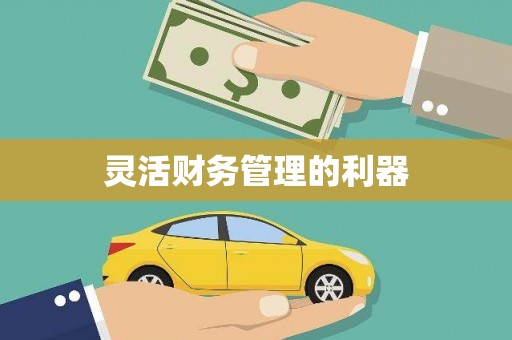 历城灵活财务管理的利器