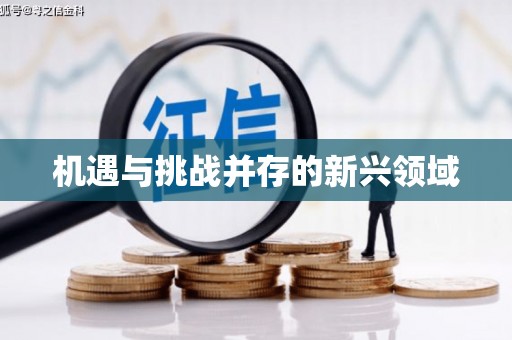 历城机遇与挑战并存的新兴领域
