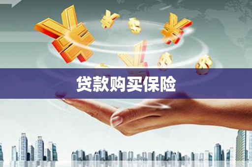 历城贷款购买保险