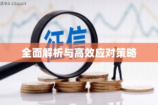 历城全面解析与高效应对策略