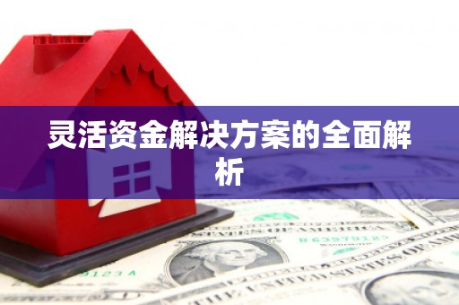 历城灵活资金解决方案的全面解析